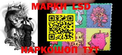 индика Обнинск