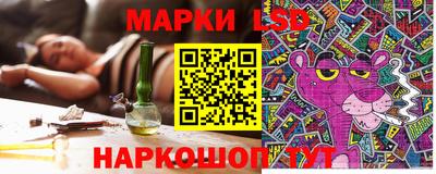 индика Обнинск